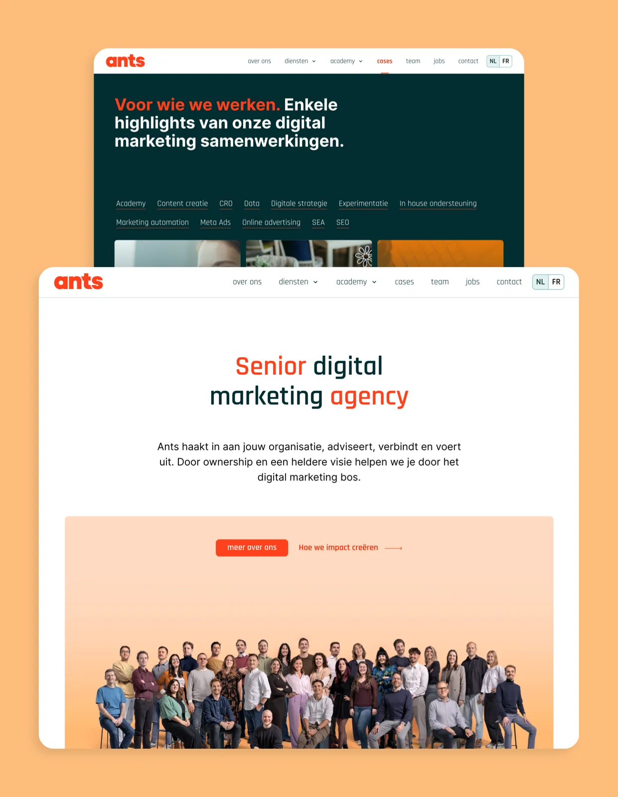 Website screenshot van Ants Agency