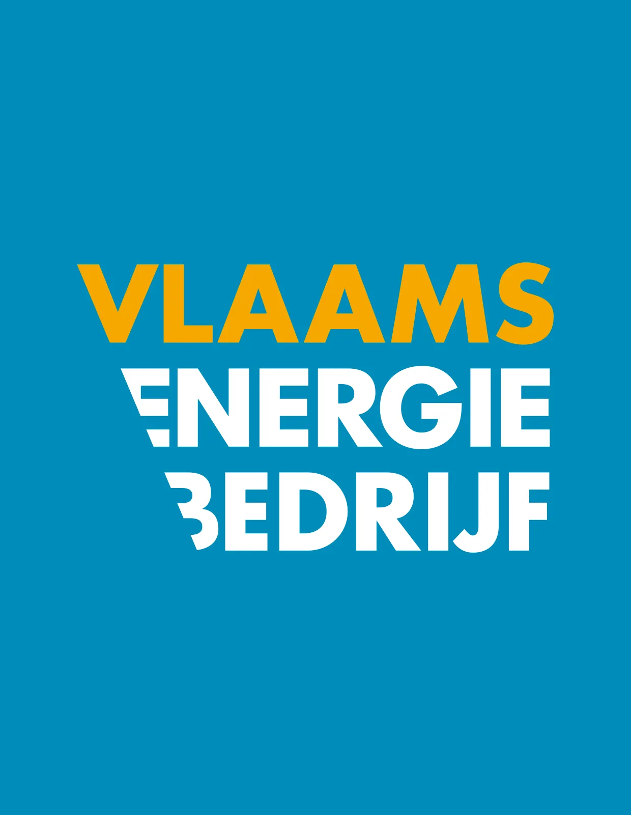 Logo concept 2 van VEB